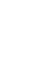 Logo Piscidan Footer